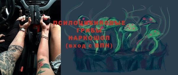 PSILOCYBIN Кукмор