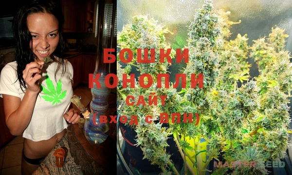 PSILOCYBIN Кукмор