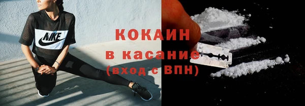 твердый Кулебаки