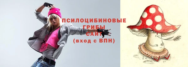 твердый Кулебаки