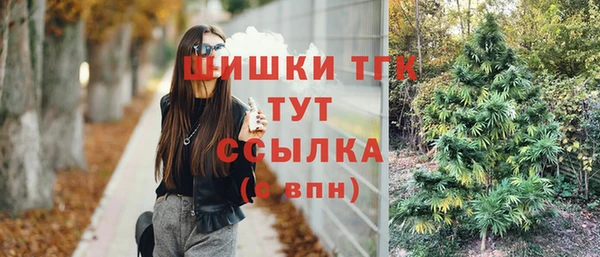PSILOCYBIN Кукмор