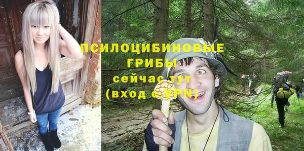 PSILOCYBIN Кукмор