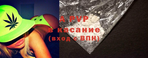 PSILOCYBIN Кукмор