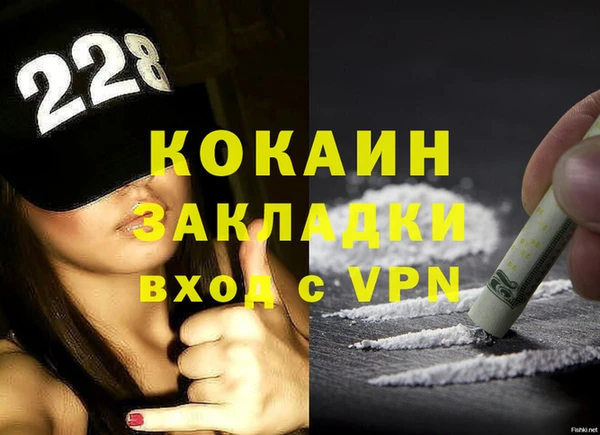 PSILOCYBIN Кукмор